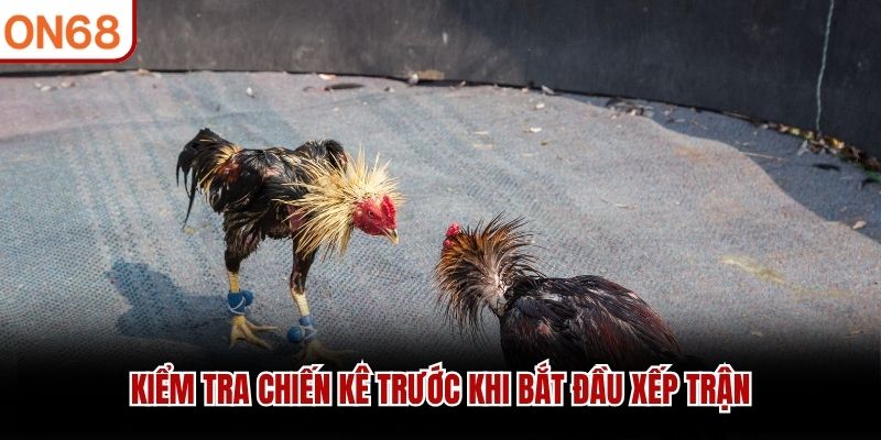Kiểm tra chiến kê trước khi bắt đầu xếp trận