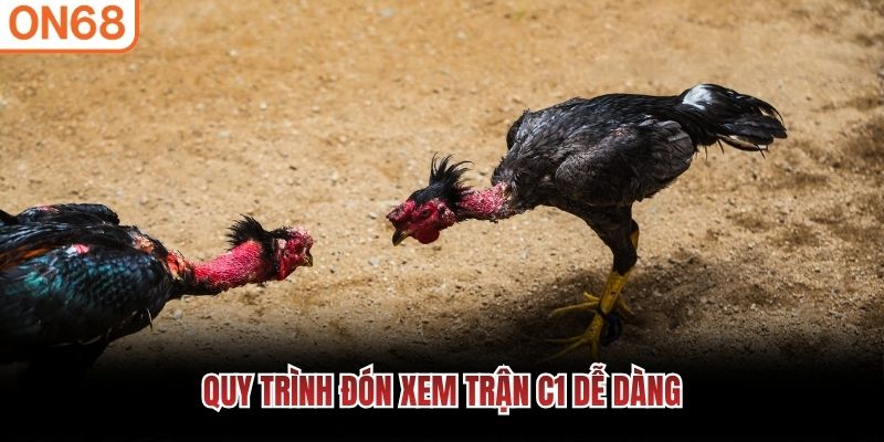 Quy trình đón xem trận C1 dễ dàng